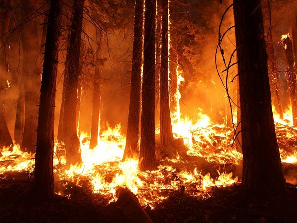 First major forest fire in Spain destroys 600 hectares in one day
