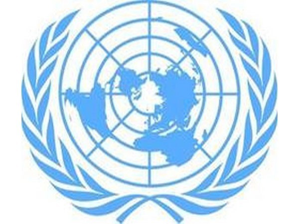 UN Security Council condemns detention of civilian leaders by Malian military