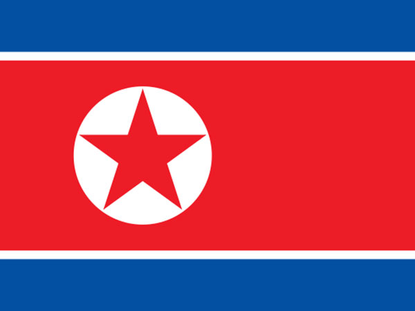 North Korea Appoints Korean Unification Talks Chief as New Foreign Minister - Reports