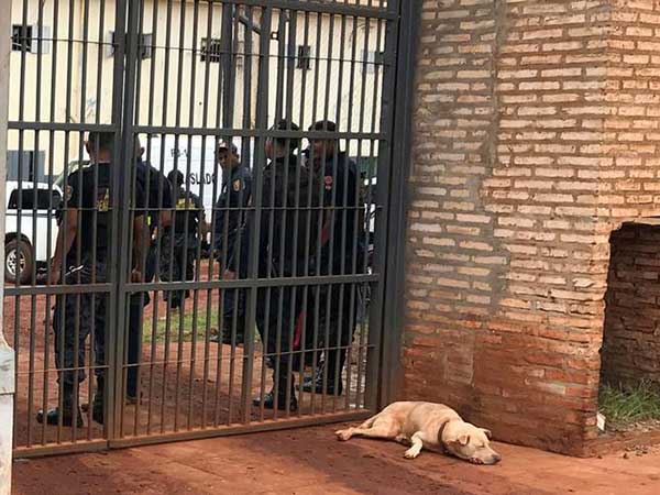 President considers releasing prisoners charged with minor offences