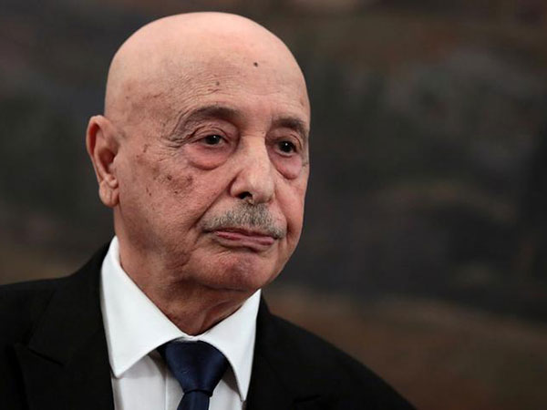 Eastern Libyan Gov't Pledges to Fight Terrorism, Prevent Turkish Intervention - Speaker