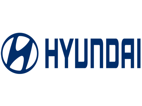 Hyundai Motor, union in talks to produce more Grandeurs