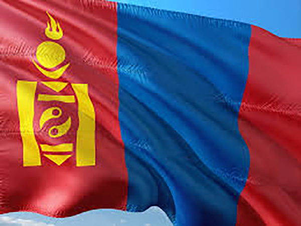 Mongolia confirms 1 more COVID-19 case, total tally rises to 11