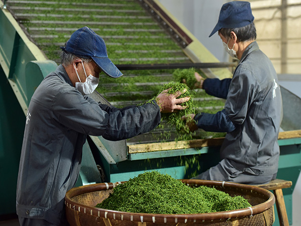 Sri Lanka Tea production, exports decline in August 2020