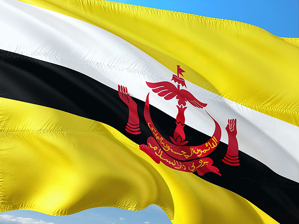 Brunei reports no new COVID-19 cases for 86 straight days