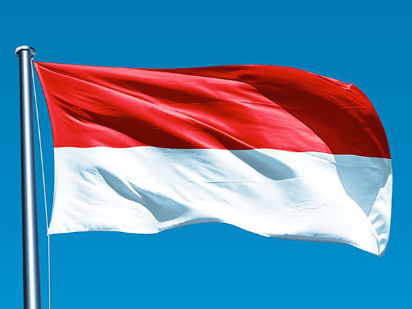 Indonesia agrees to exempt S. Korean businesspeople from entry restrictions