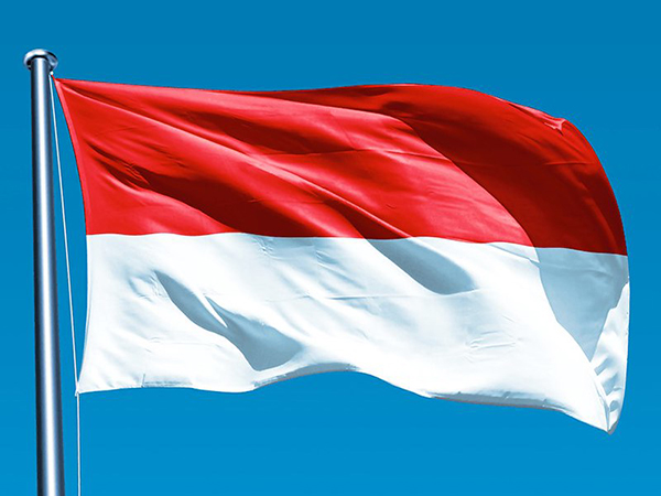 Indonesia reports 949 new COVID-19 cases, 25 new deaths