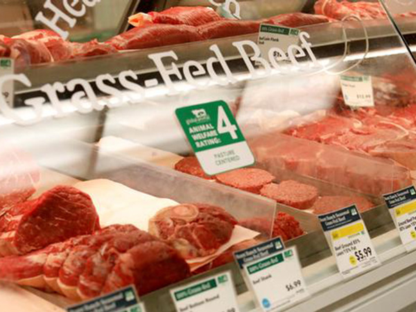Day feeds 300 deprived people from UK