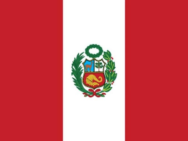 Peru preparing electoral infrastructure for voters living abroad