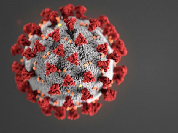 Coronavirus: 50% reduction on RTA violations announced under new Covid-19 package in Sharjah