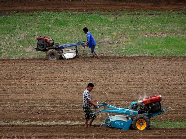 Agriculture Knowledge Centre urges farmers to wait until DNA test result
