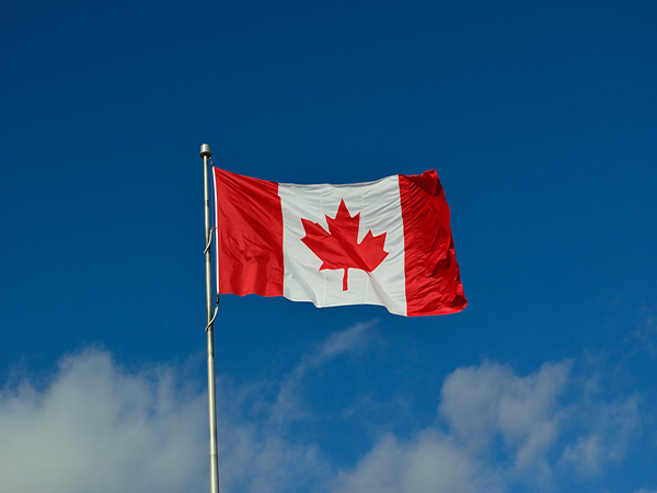 Glebe BIA seeks to turf local councillor over 'adversarial approach'