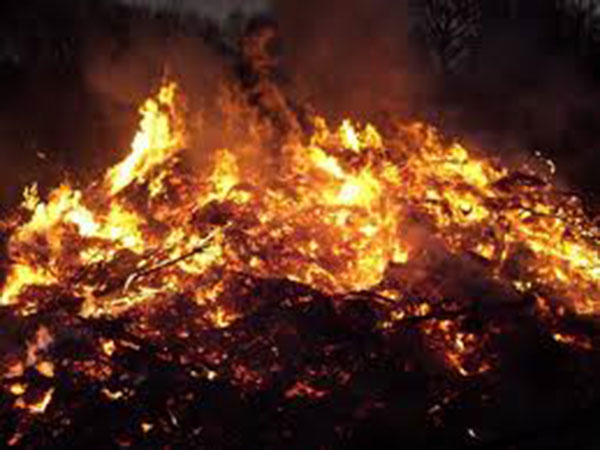 2 killed in fire in eastern India
