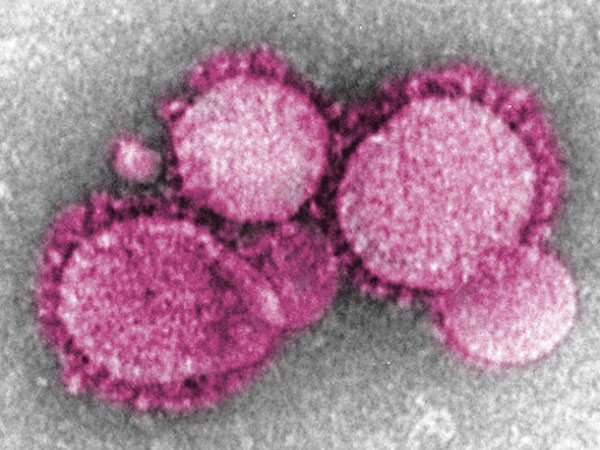 China releases 2019 novel coronavirus database