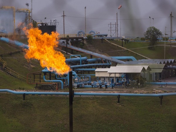 'It's causing significant losses': Chevron struggles with theft at Rokan block