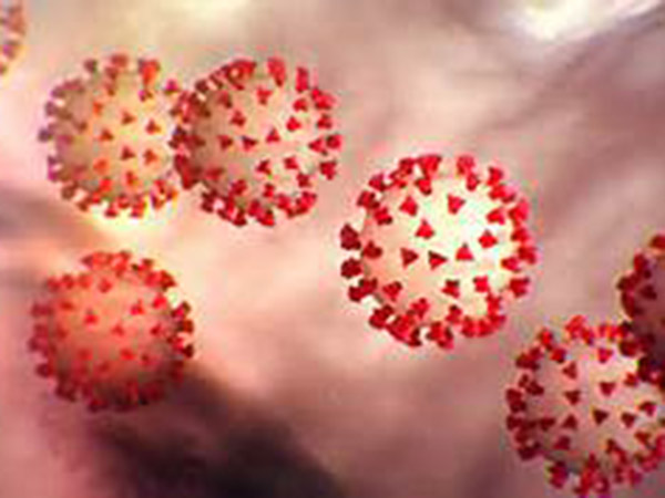 Man-made antibody 'neutralizes' coronavirus for first time, study shows