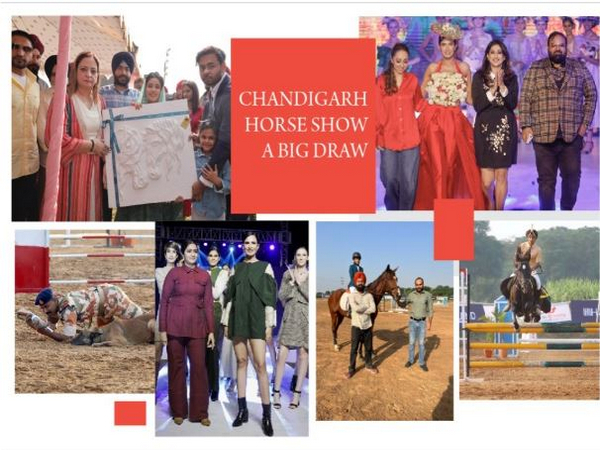 The Ranch' organizes a highly successful Homeland Chandigarh Horse Show