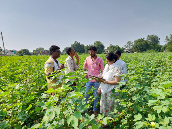 KhetiBuddy's Agronomy team visits cotton fields in Parbhani