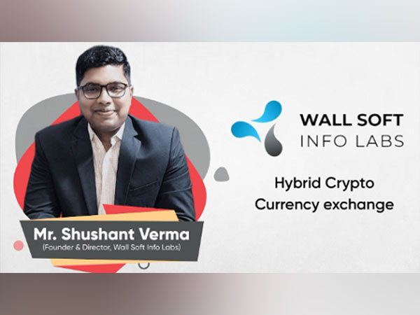 Shushant Verma (Founder & Director), Wall soft info labs