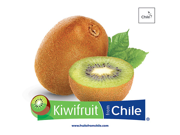 5 reasons why you should eat 1 Chilean kiwi fruit everyday