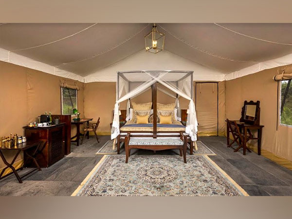 Luxury Tent at Aalia Jungle Retreat & Spa