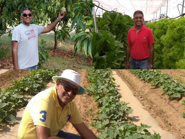 Cultivating Sustainability: Raj-Shree Farms and Its Synergy with Mangofolks