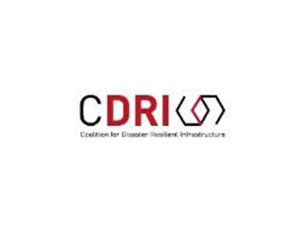 CDRI Awards 11 Projects in 13 SIDS across the Caribbean, Pacific and Indian Ocean Regions