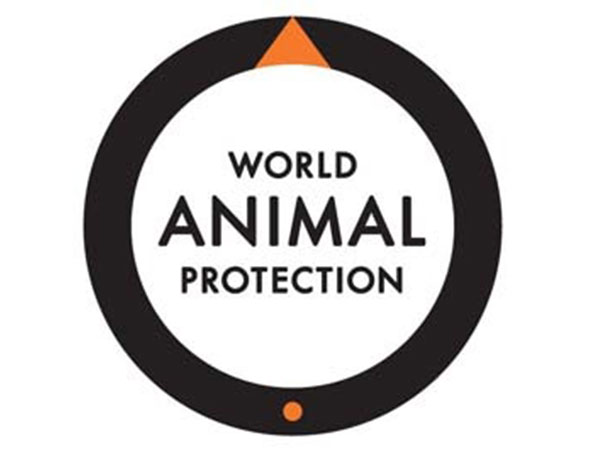 World Antimicrobial Resistance Awareness Week Shines Spotlight on Crucial Link between Animal Welfare and One Health