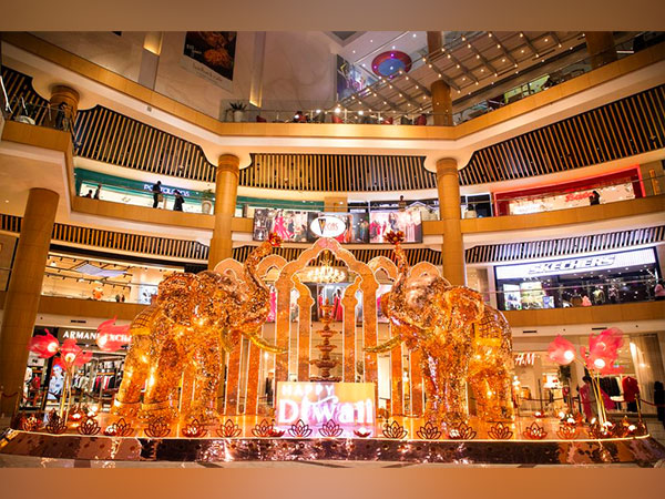 Vegas Dwarka's Eventful November: A Month of Festive Celebrations