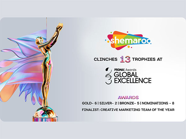 Global excellence Awards - Shemaroo Entertainment