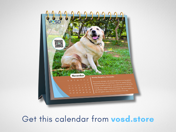 Get this Calendar from vosd.store