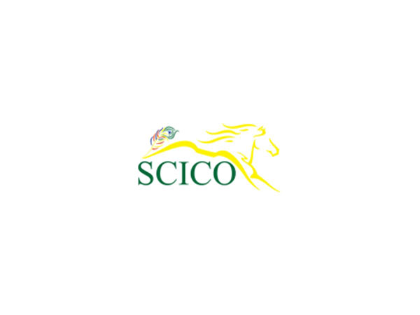 Enabling Offline Retail Expansion - The Story of SCICO