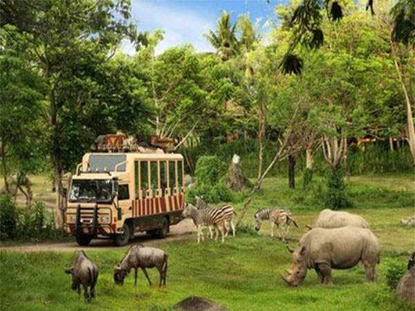 Plan Your Year-End Vacation with Taman Safari Bali