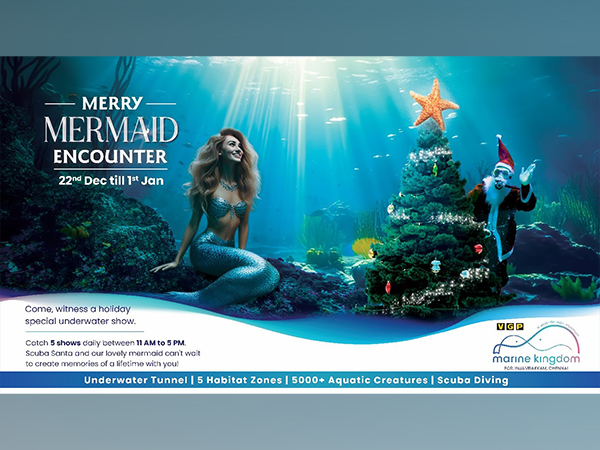 Merry Mermaid Encounter Show Splashes into VGP Marine Kingdom This Holiday Season