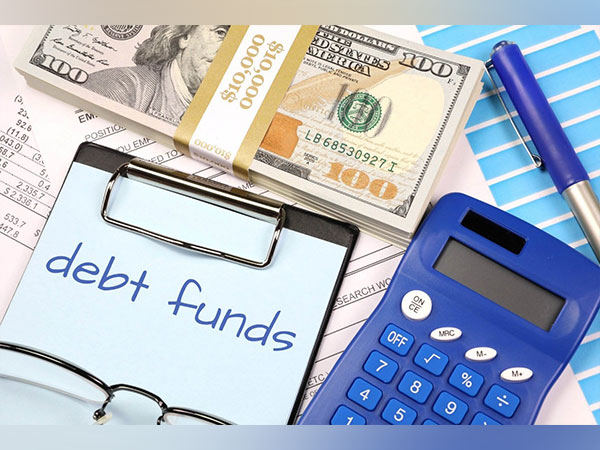 Debt funds: An investor's guide to low-risk investments