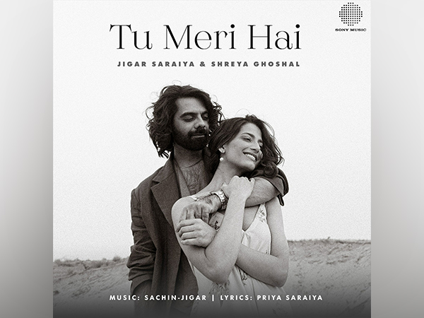 Riteish and Genelia Deshmukh Make 'Tu Meri Hai'- A Perfect #Couplegoals Song This Valentine's Week