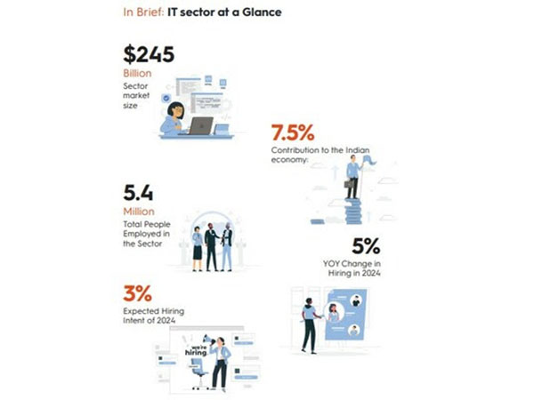 IT Sector at a glance