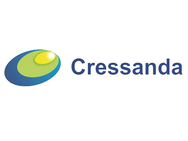 Cressanda's Q3 2023-2024 revenue soars