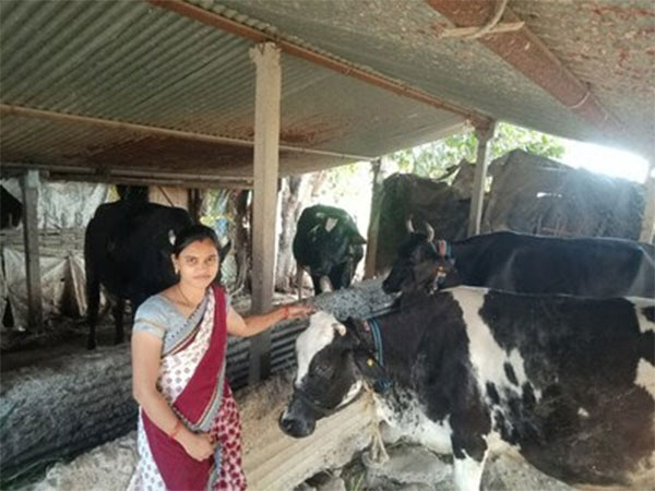 Rockwell Automation Partners with ISAP India Foundation to Modernize Dairy Farming in India