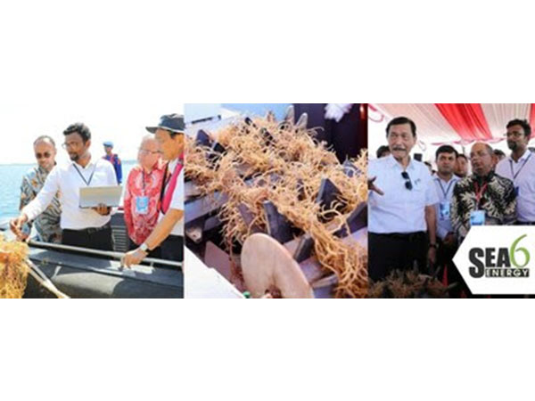 Shrikumar Suryanarayan, Chairman, and Nelson Vadassery, CEO of Sea6 Energy demonstrate operations of the Company's large-scale mechanized Seaweed Farm