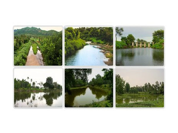 Riverine Afforestation, an initiative by The Art of Living across India