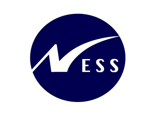 Ness Blue Logo