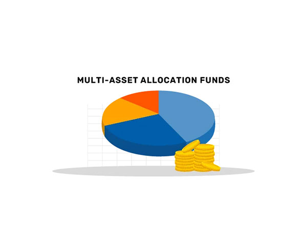 Diversify your mutual fund portfolio across asset classes