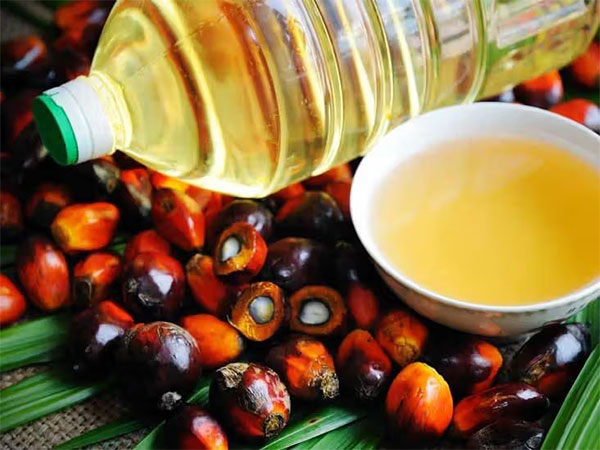Palm oil scores high on ICMR-NIN's 2024 Updated Dietary Guidelines for Indians