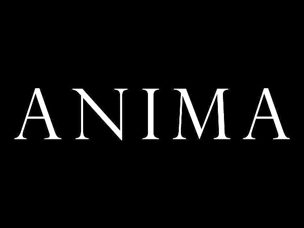 Anima Expands its Client Roaster Adding a Diverse Range of Talents