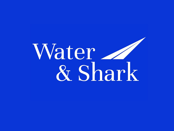 From Times Square to Global Boardrooms: Water & Shark Sets the Standard in Auditing and Consulting