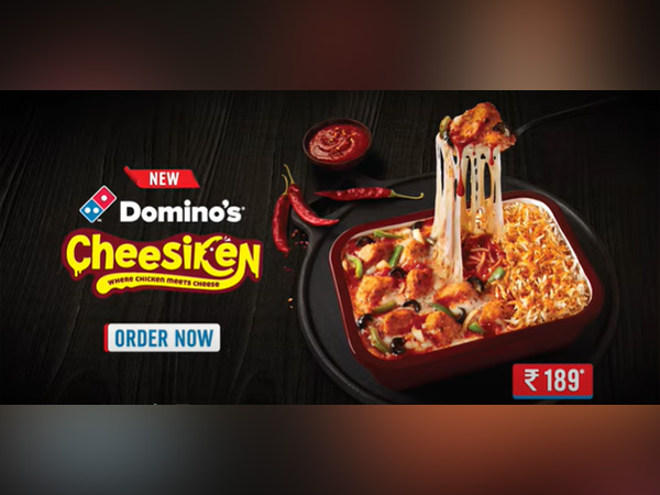 Domino's Chicken Fiesta Range