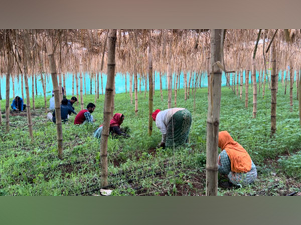 Sustainable Agriculture - Keeping our Ecosystems Healthy & Soil Fertile