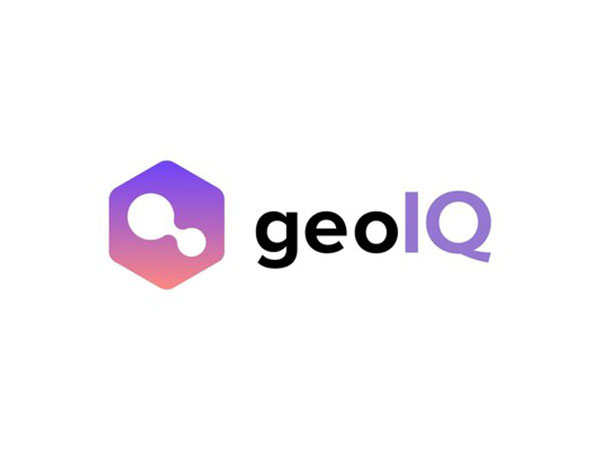 GeoIQ Logo