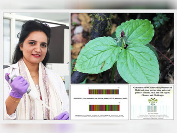 Chandigarh University faculty researcher Dr. Tina Sharma, who developed genetic barcodes for the identification of the rare and endangered Nag Chhatri herb.